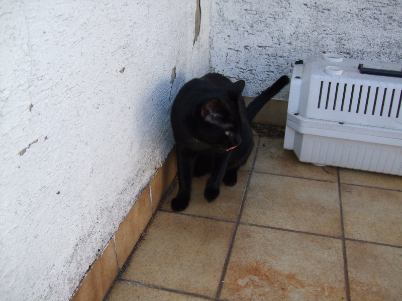 Ostern 2007 Orleshausen 041 